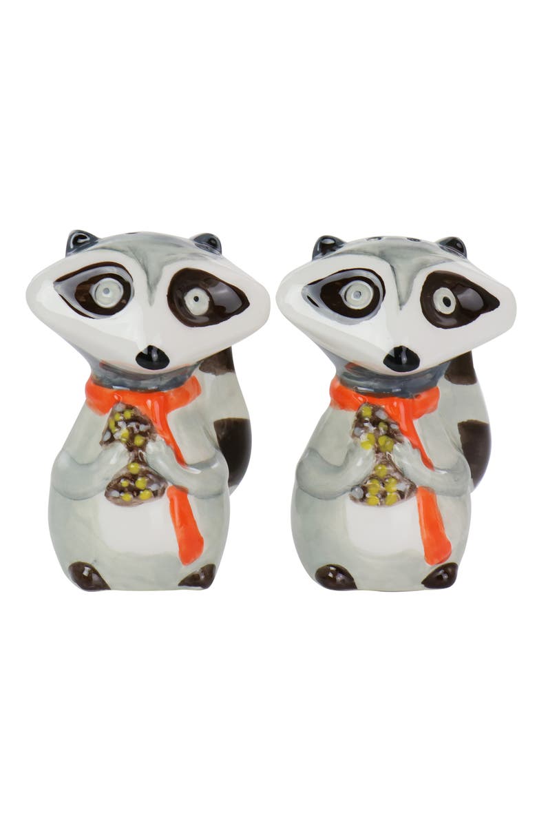 Gibson Home Woodland Raccoon 2 Piece Hard Dolomite Salt and Pepper Set, Main, color, Multi
