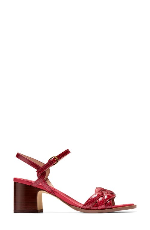 Cole Haan Ambrose Braid Ankle Strap Sandal