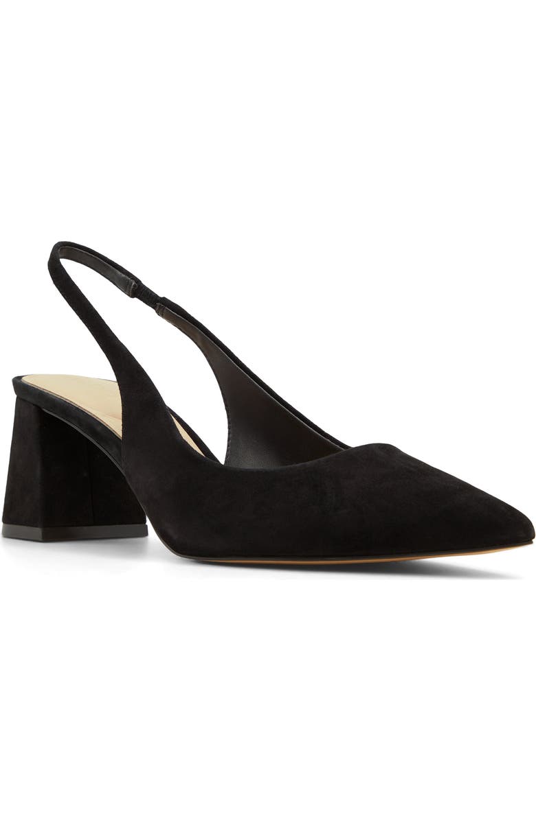 ALDO Uliana Slingback Pointed Toe Pump, Main, color, Black