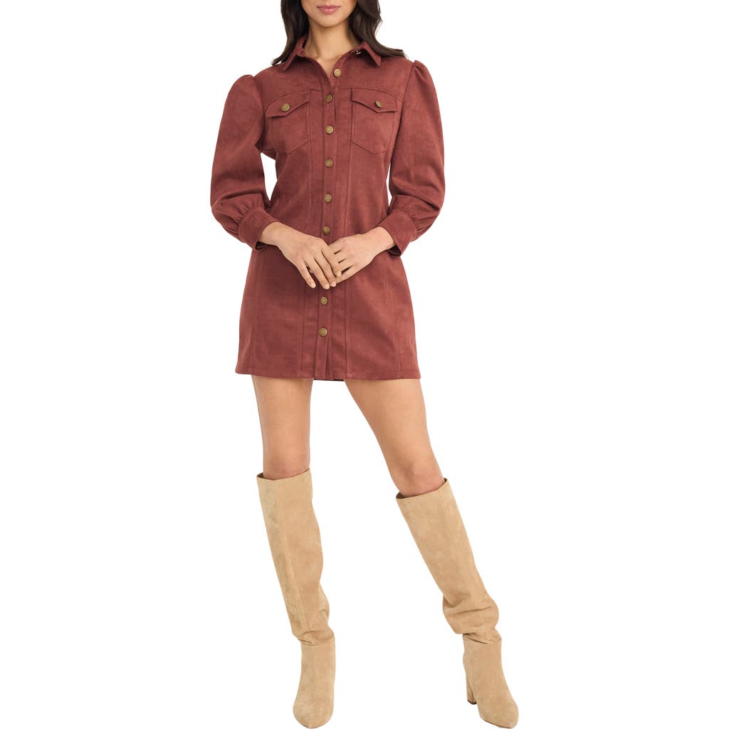 The Good Journey Long Sleeve Faux Suede Minidress In Brown