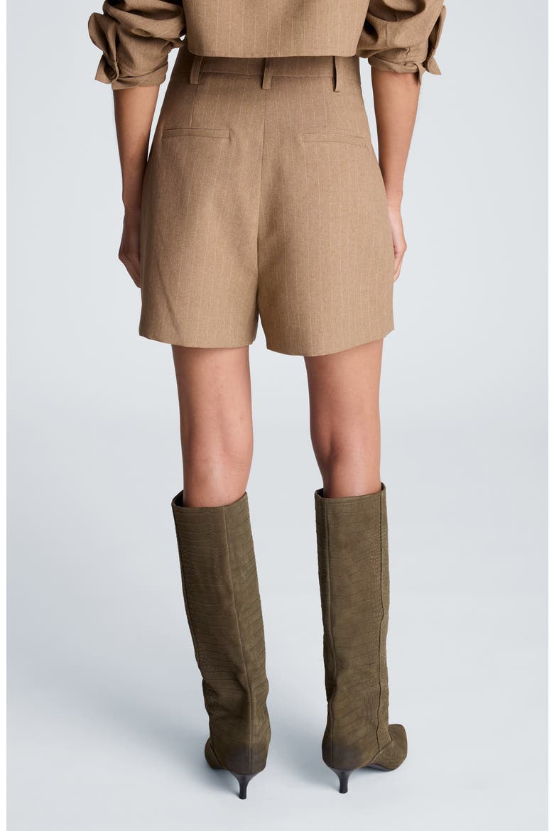 High Waist Pinstripe Pleated Shorts, Alternate, color, PEANUT HEATHER/ OYSTER