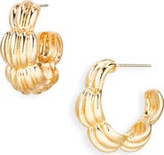 Cara Scallop Textured Hoop Earrings