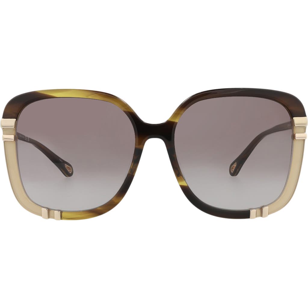 Chloé 59mm Square Sunglasses In Brown