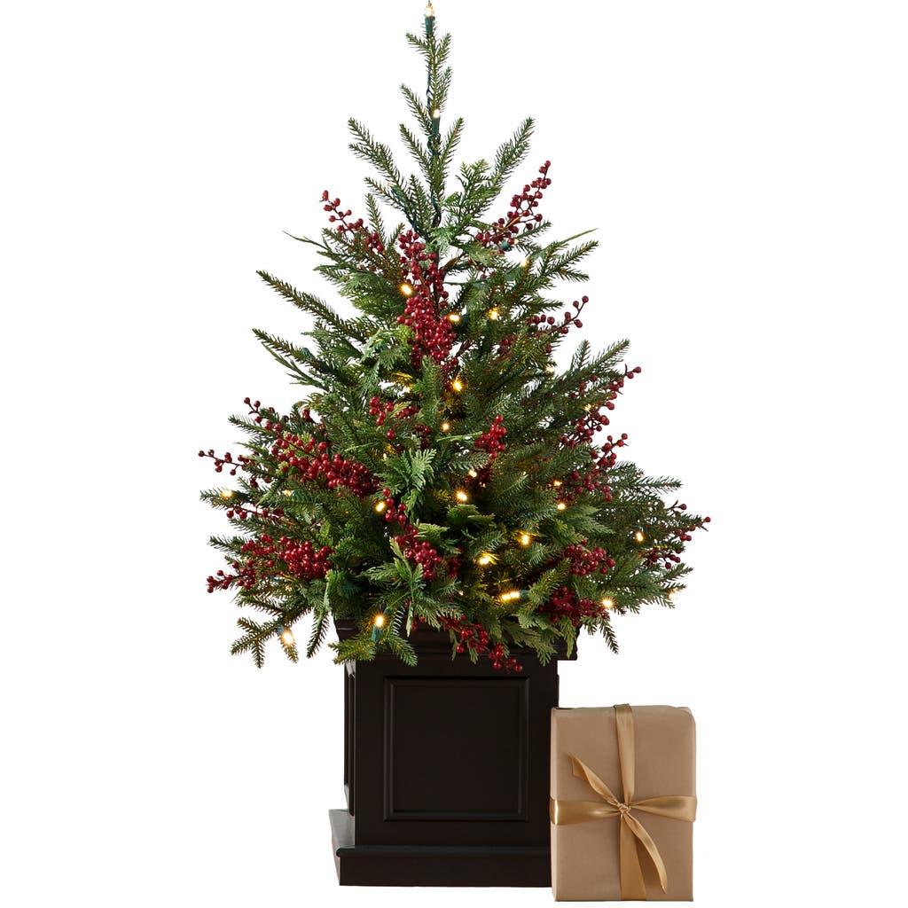 Balsam Hill Outdoor Red Berry Evergreen Pre-lit Artificial Potted Tree In Green