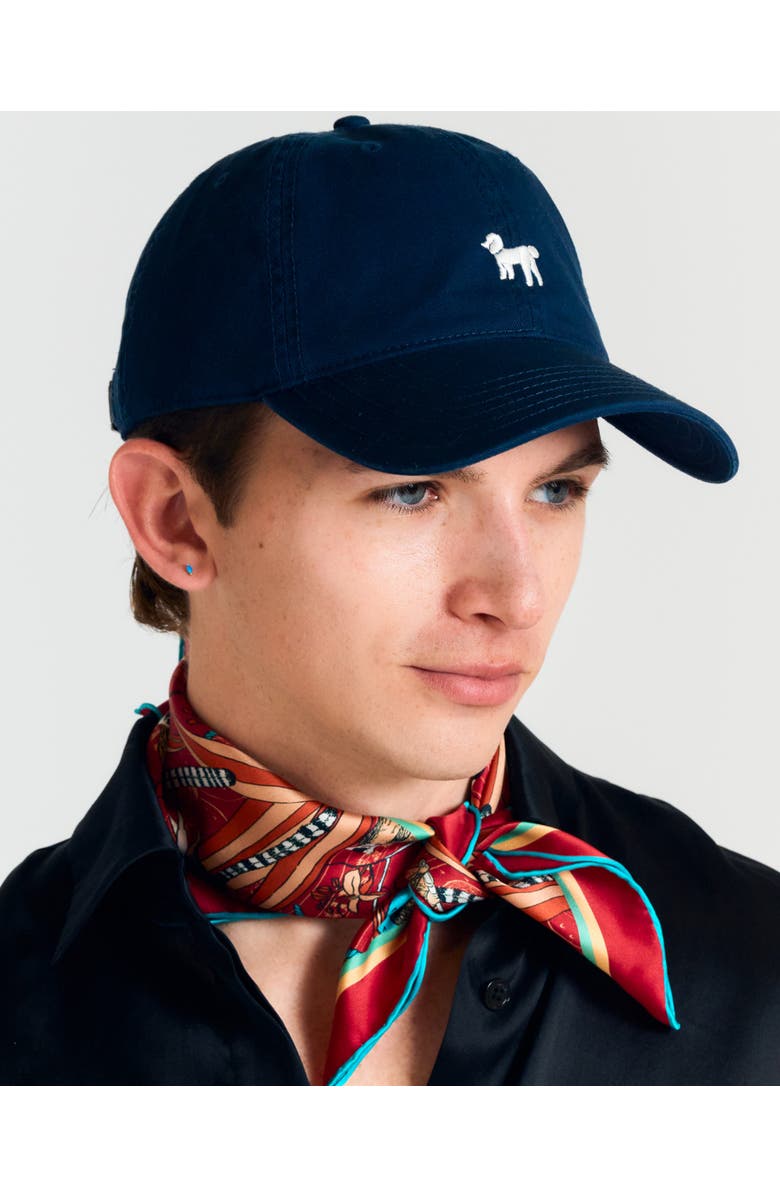 Lost Pattern "Pan Pan" Baseball Cap, Alternate, color, Deep Blue