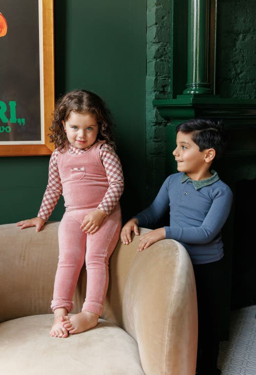 Ely's & Co. Velour Plaid Bear Collection In Blue