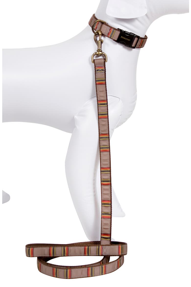 Camp Dog Collar, Alternate, color, UMBER