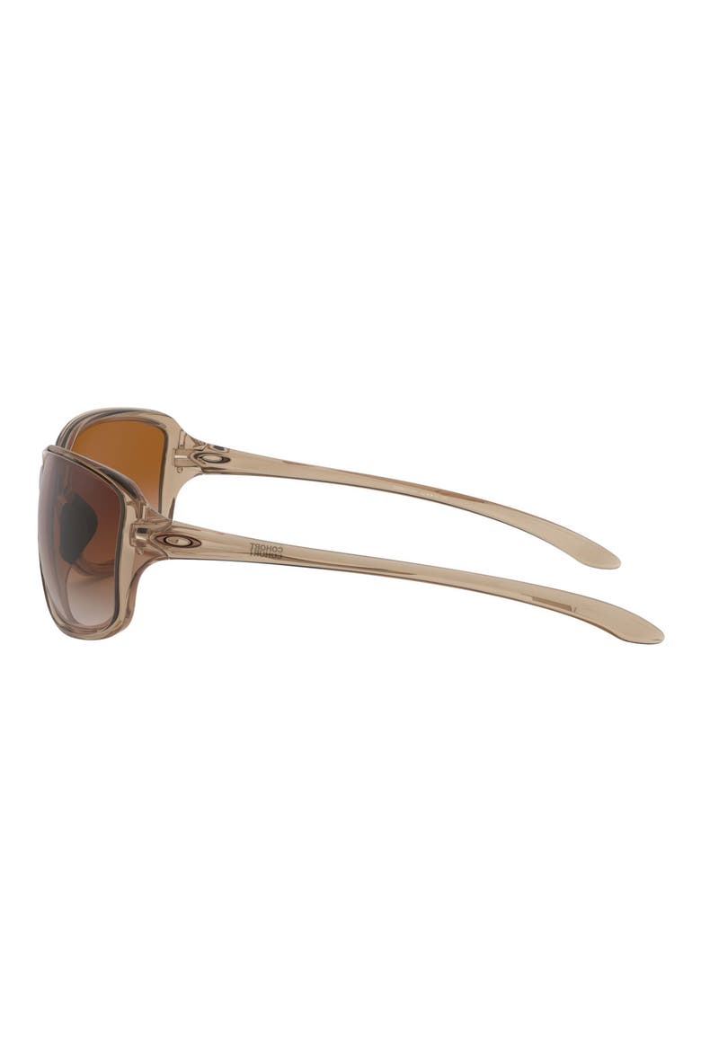 Cohort 62mm Sunglasses, Alternate, color, SEPIA/ DARK BROWN