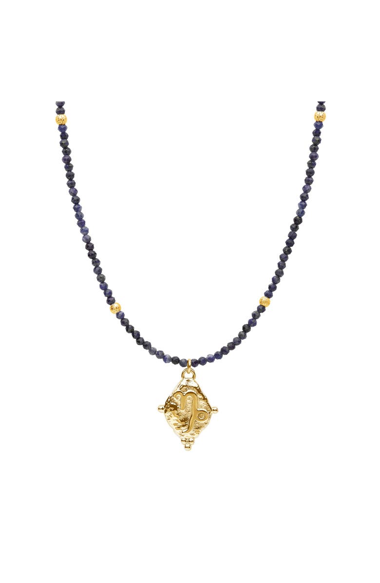 Seven Saints Capricorn Zodiac Choker Necklace, Main, color, Gold