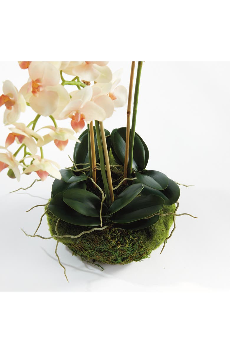 Napa Home & Garden Phalaenopsis Mini Garden Artificial Plant Drop-In, Alternate, color, Pink