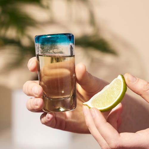 Twine Set Of 4 Primavera Recycled Shot Glasses In Clear