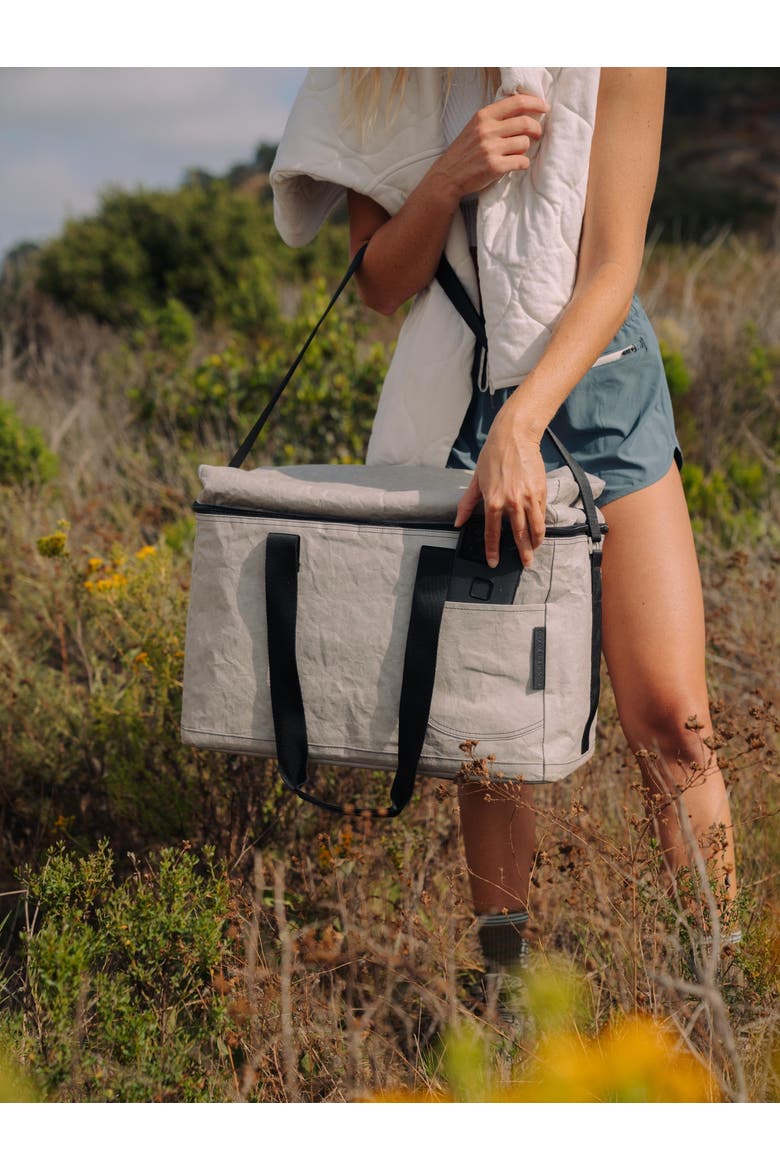Seagull Trunk Cooler, Alternate, color, Stone