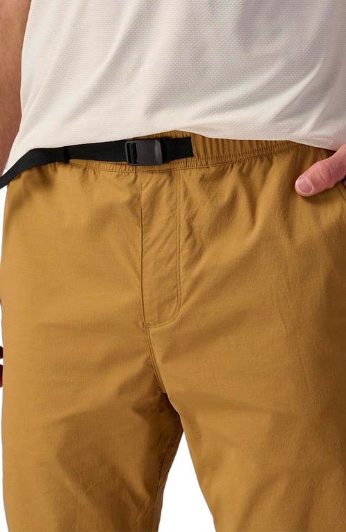 Backcountry Wasatch Ripstop Pant In Brown