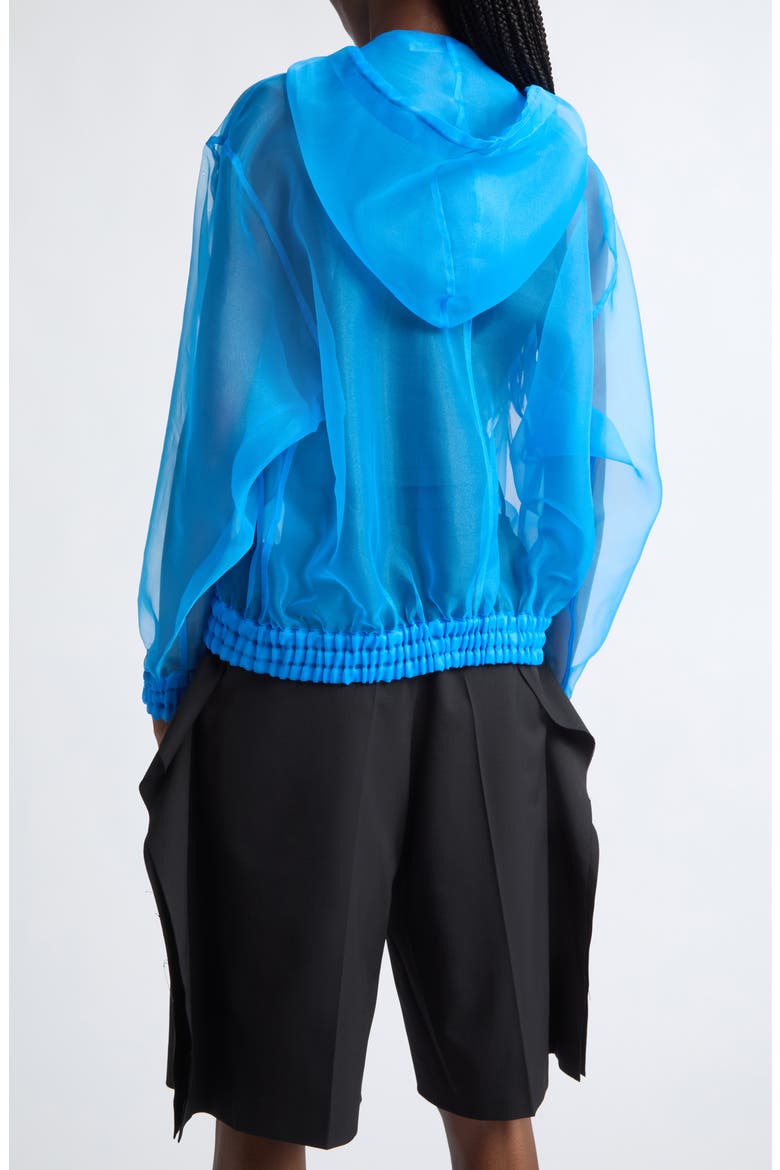 Organza Hoodie, Alternate, color, LIGHT BLUE