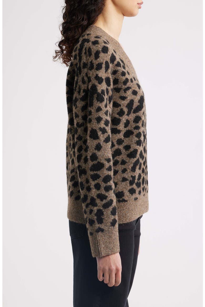 Rae V-Neck Sweater, Alternate, color, HAZELNUT SPOTTED