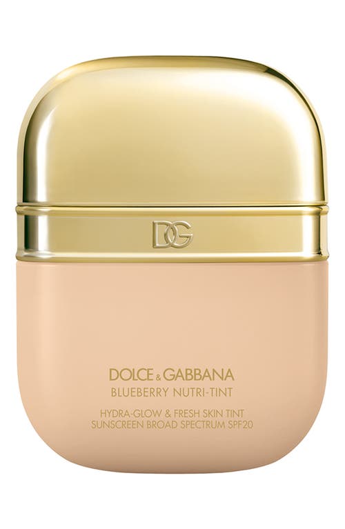Dolce & Gabbana Dolce&gabbana The Blueberry Nutri-tint Skin Tint