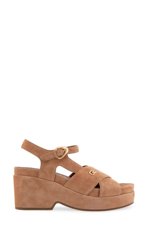 AEROSOLES AEROSOLES CORA ANKLE STRAP PLATFORM SANDAL 