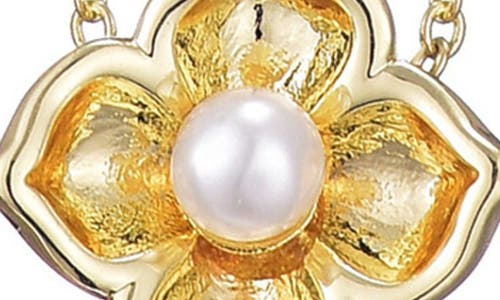 Adornia 14k Gold Plated Flower Encased Freshwater Pearl Necklace In Multi