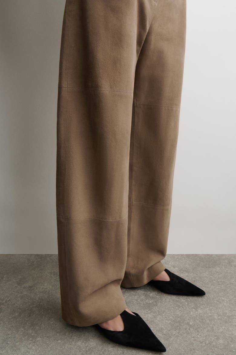 Suede Straight-leg Trousers, Alternate, color, BEIGE