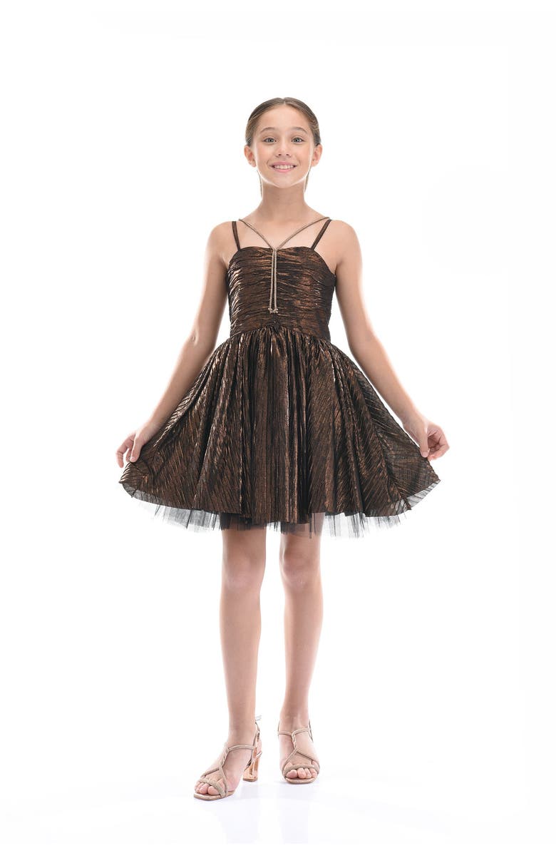 Tulleen Gianotta Dress, Alternate, color, Bronze