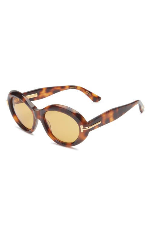 Tom Ford 55mm Oval Sunglasses In Brown