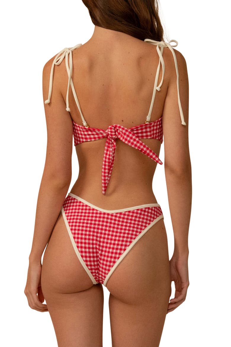 Lulu Gingham Bikini Bottoms, Alternate, color, RED MICRO GINGHAM