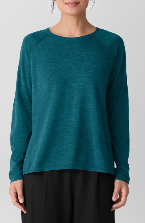 Eileen Fisher Superfine Merino Crew Neck Top In Regenerative Wool In Blue