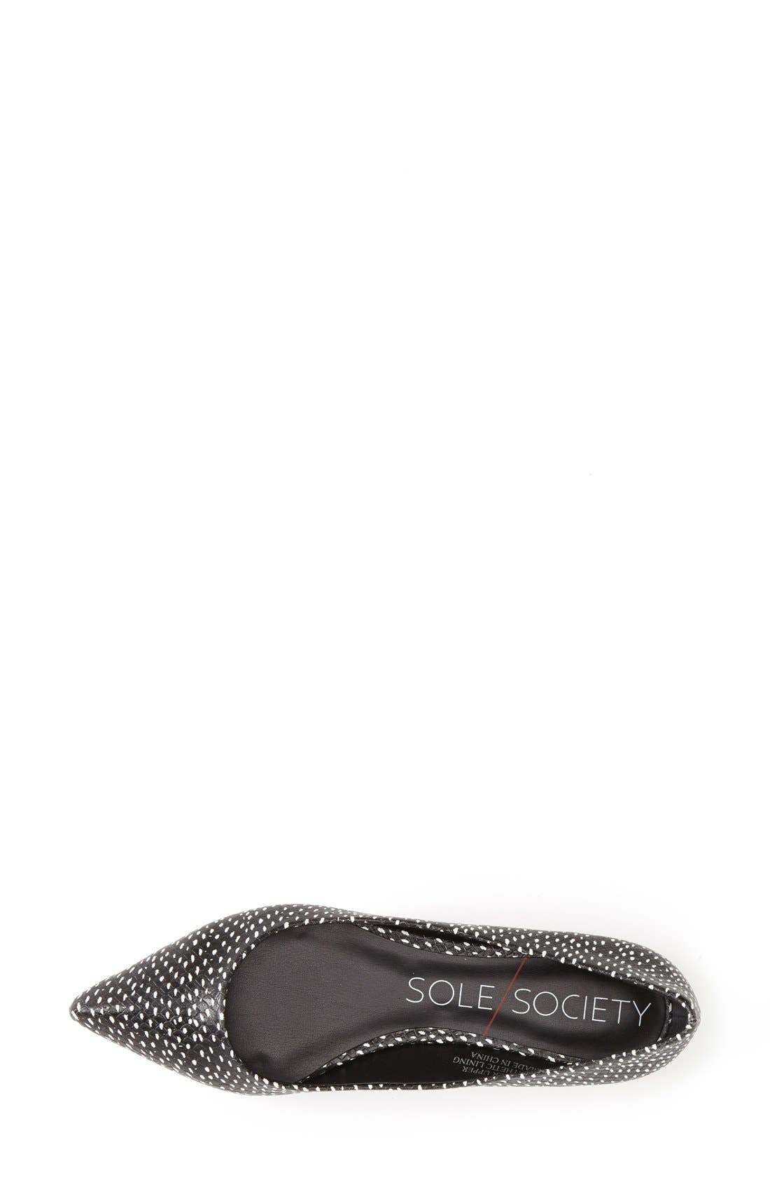 'Quinn' Pointy Toe Ballet Flat, Alternate, color, BLACK