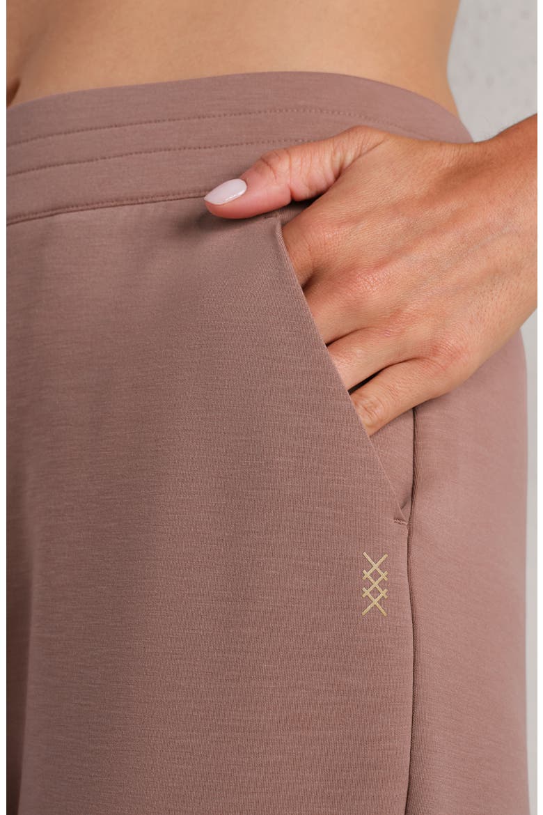 Dreamglow Tapered Pants, Alternate, color, CLAY MIST