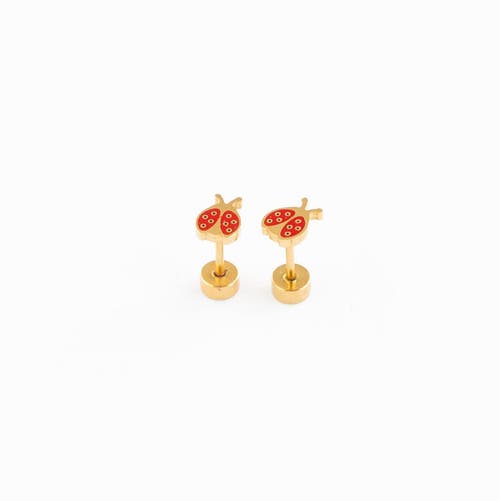 Pip Pop Kids'  Ladybug Stud Earrings