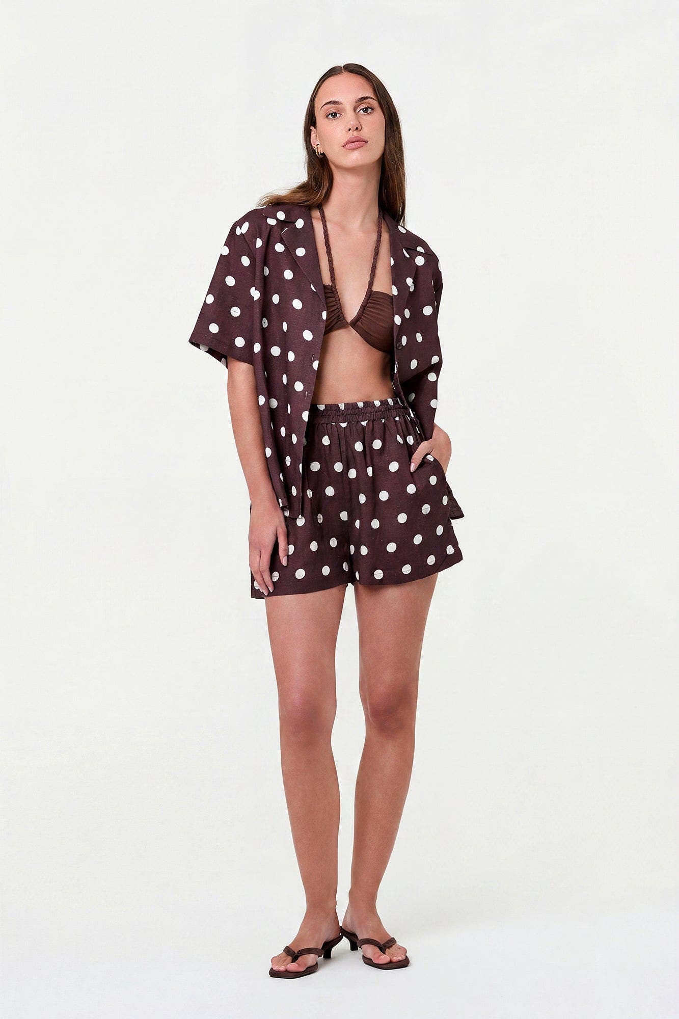 Espresso / Ivory Polka Dot