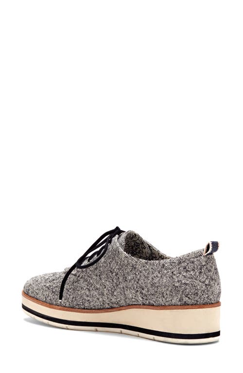 Ed Ellen Degeneres 'oberlin' Oxford In Multi