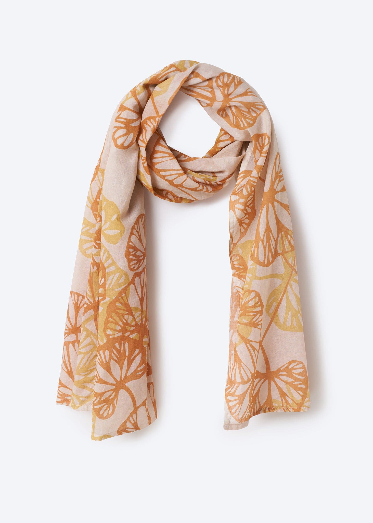 Orange Petals