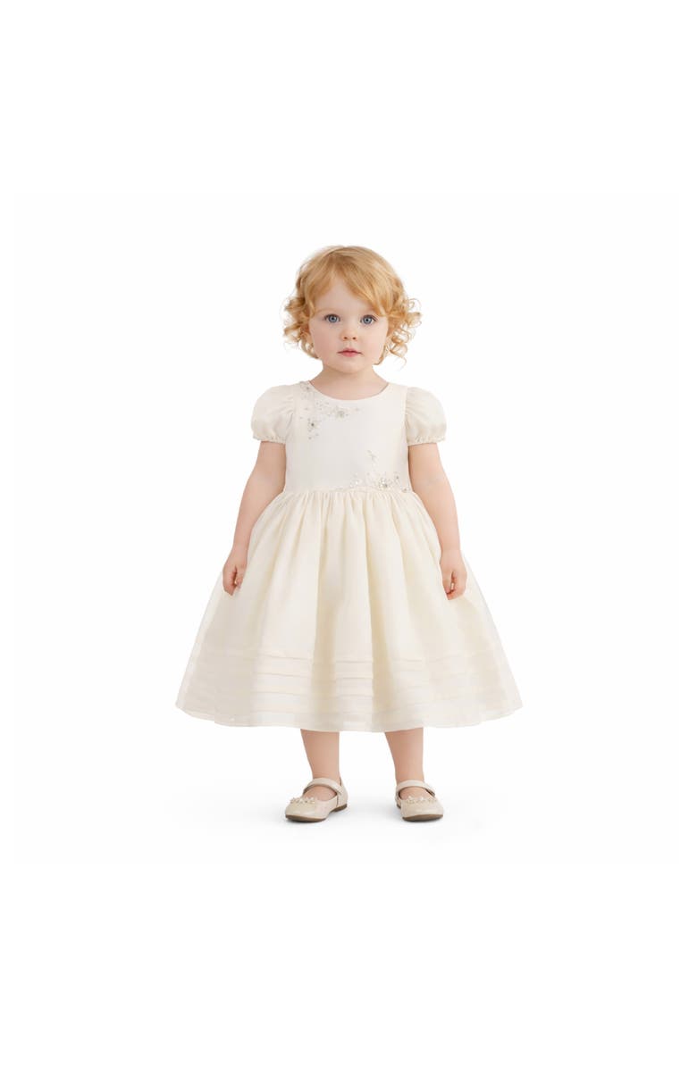 Tulleen Embroidered Pleated Dress, Alternate, color, Ivory