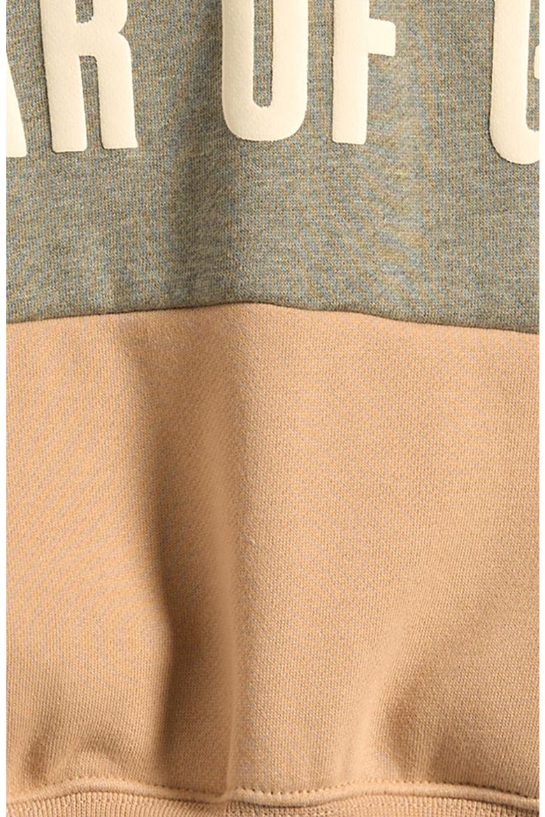 Kids' Cotton Blend Fleece Hoodie, Alternate, color, GINGER/ SEAL HEATHER