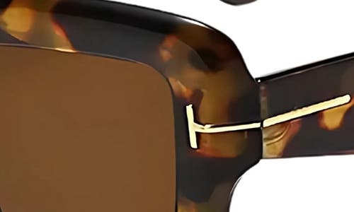 Fifth & Ninth Malia 58mm Polarized Square Sunglasses In Brown