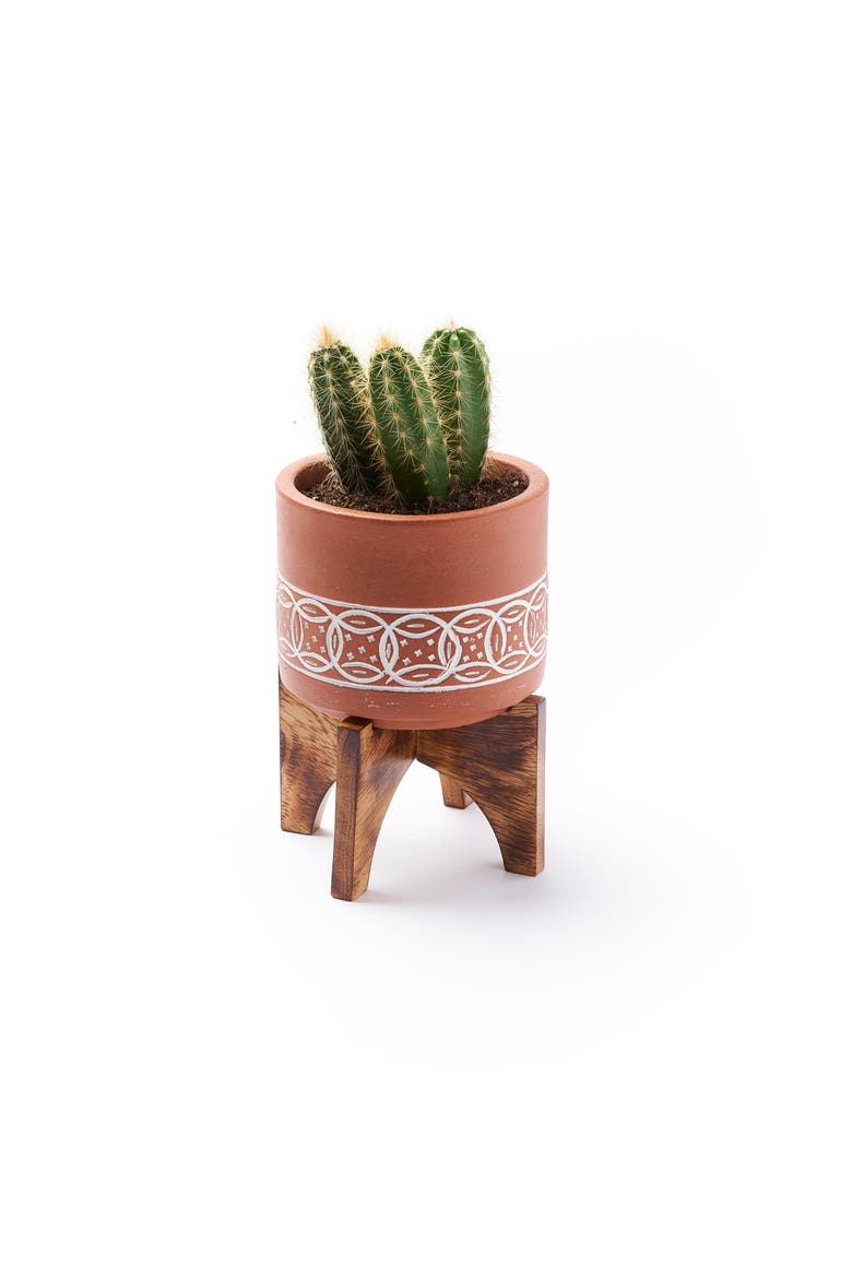 Daksha Terracotta Plant Pot with Wood Stand - large, Main, color, Terracotta