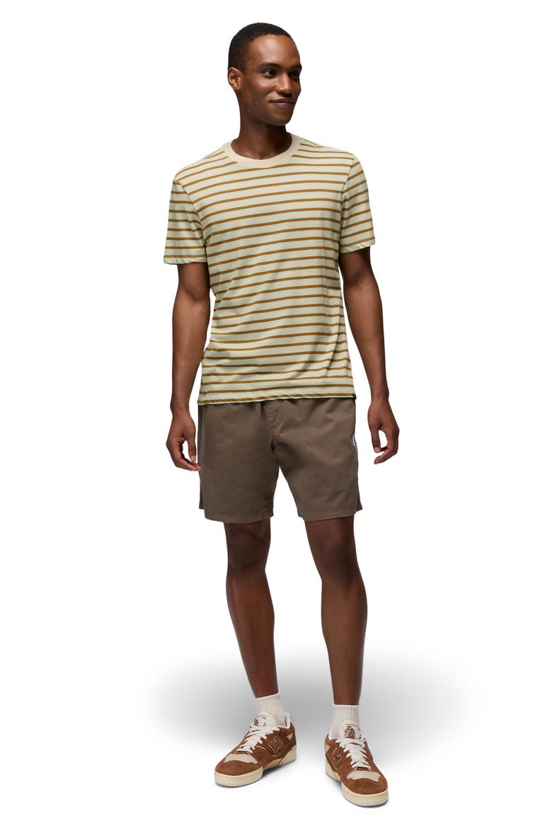 Everyday Short Sleeve Regenerative Organic Cotton T-Shirt, Alternate, color, BEACH PEBBLE STRIPE