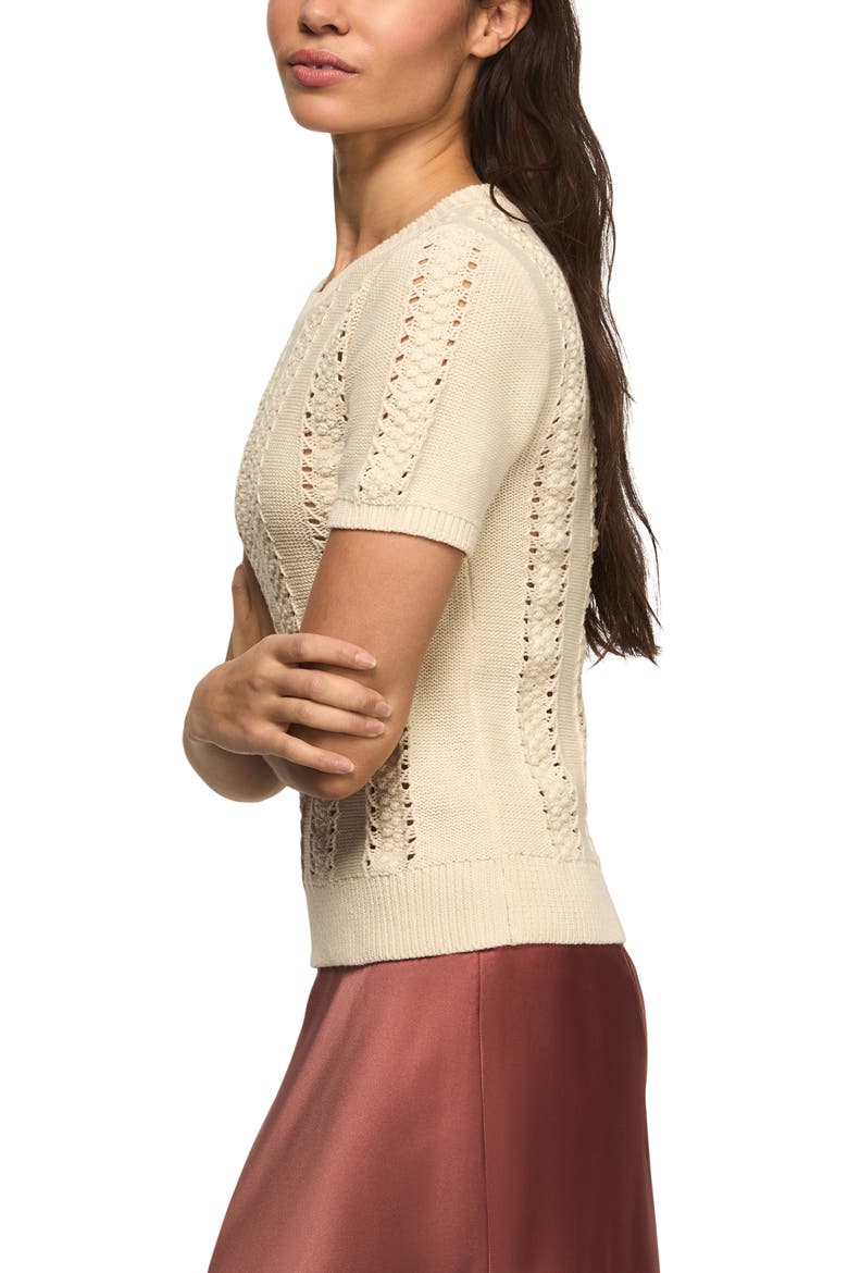 Pointelle Short Sleeve Sweater, Alternate, color, TURTLEDOVE