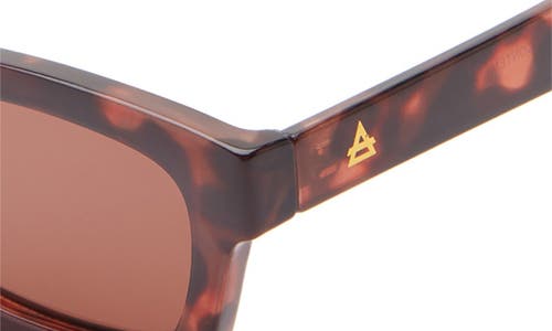 Aire Sculptor 50mm Rectangular Sunglasses In Rosewood Tort/cinamon Tint
