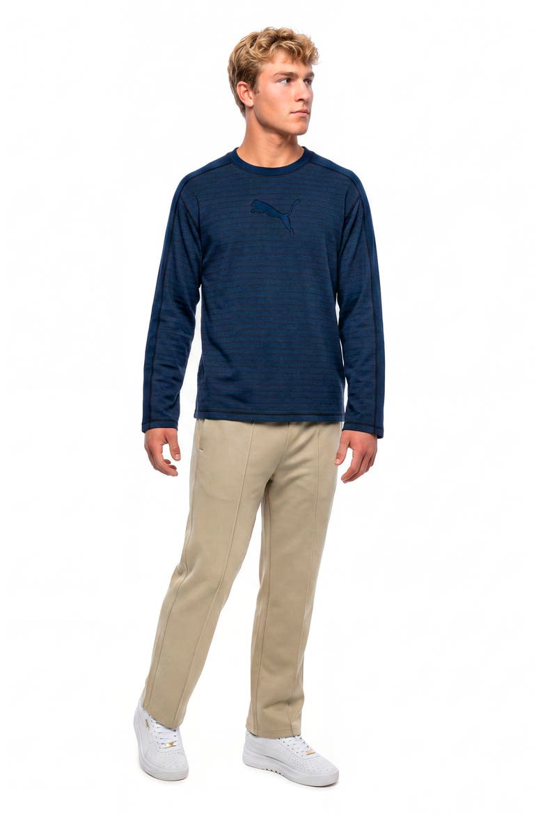 T7 Stripe Long Sleeve T-Shirt, Alternate, color, PERSIAN BLUE HEATHER