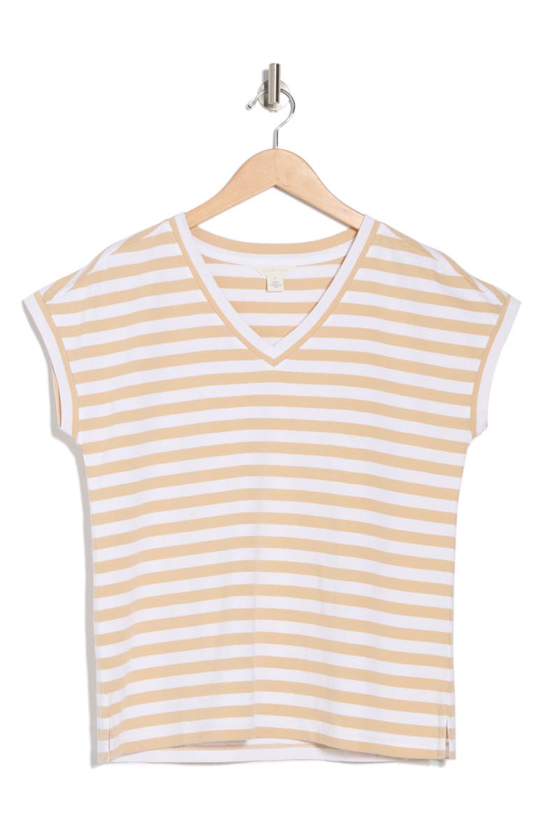 Caslon<sup>®</sup> Stripe Cotton V-Neck T-Shirt, Alternate, color,