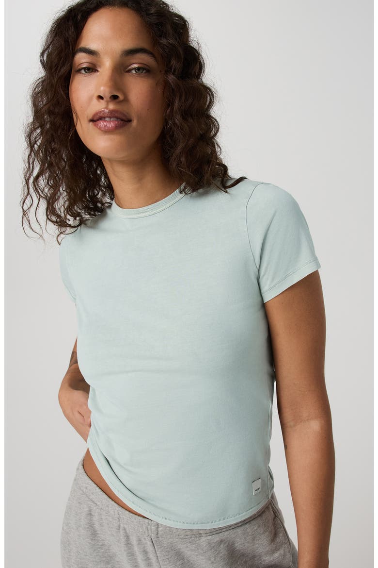 Feather Classic T-Shirt, Alternate, color, STORM BLUE