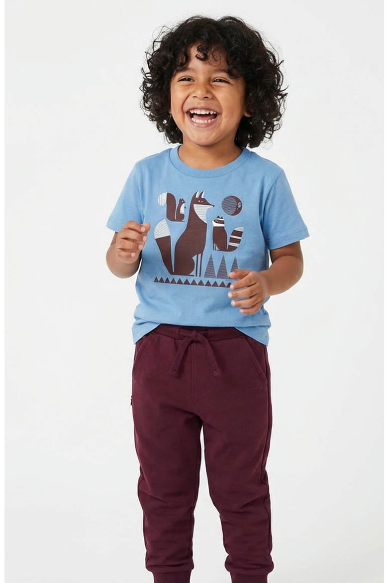Organic Cotton Boys Grahic T-Shirt, Alternate, color, True Blue Crew