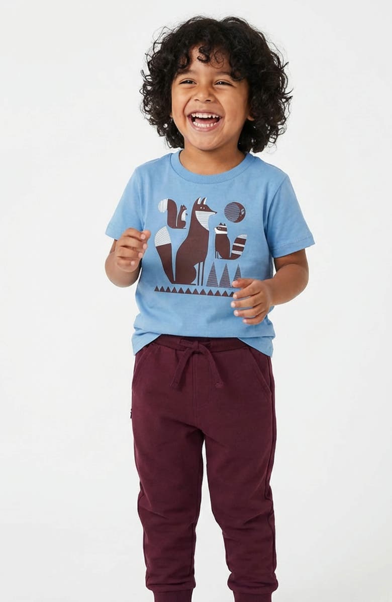 Mightly Organic Cotton Boys Grahic T-Shirt, Alternate, color, True Blue Crew