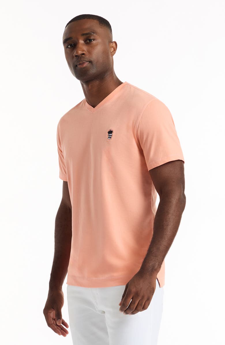 Robert Graham Damien V-Neck T-Shirt, Alternate, color, Peach