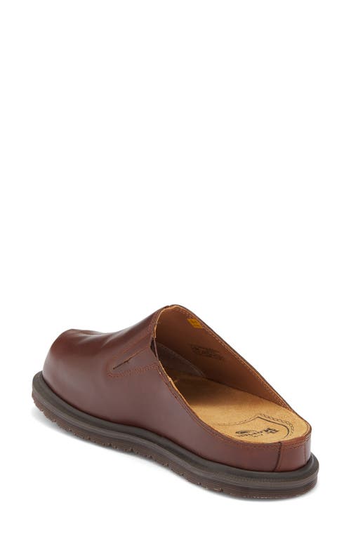 Dr. Martens' Dr. Martens Gender Inclusive San Mule In Brown