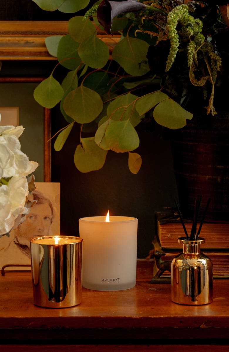 APOTHEKE Apricot Red Currant Mini Scented Candle and Reed Diffuser Duo, Alternate, color, 