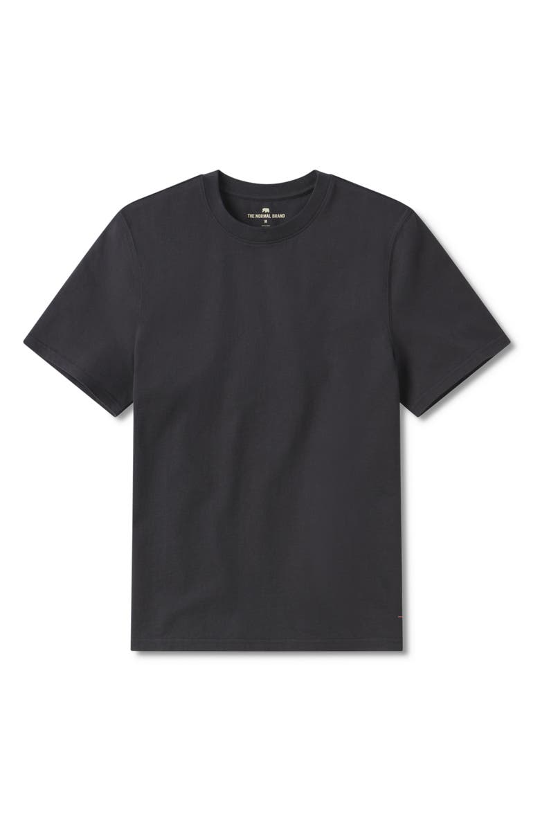 The Normal Brand Lennox Cotton T-Shirt, Alternate, color, Phantom