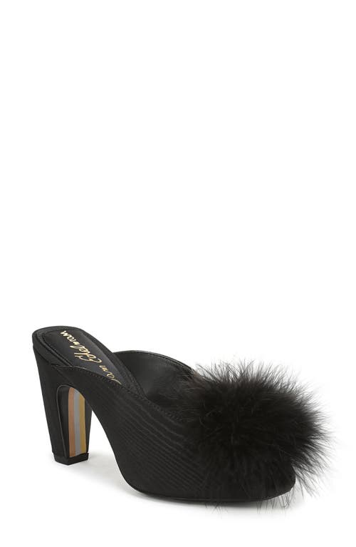 Sam Edelman Witney Feather Embellished Pump In Black